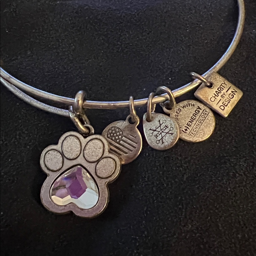 Alex and Ani Paw Prints of Love Bracelet - Picture 3 of 7